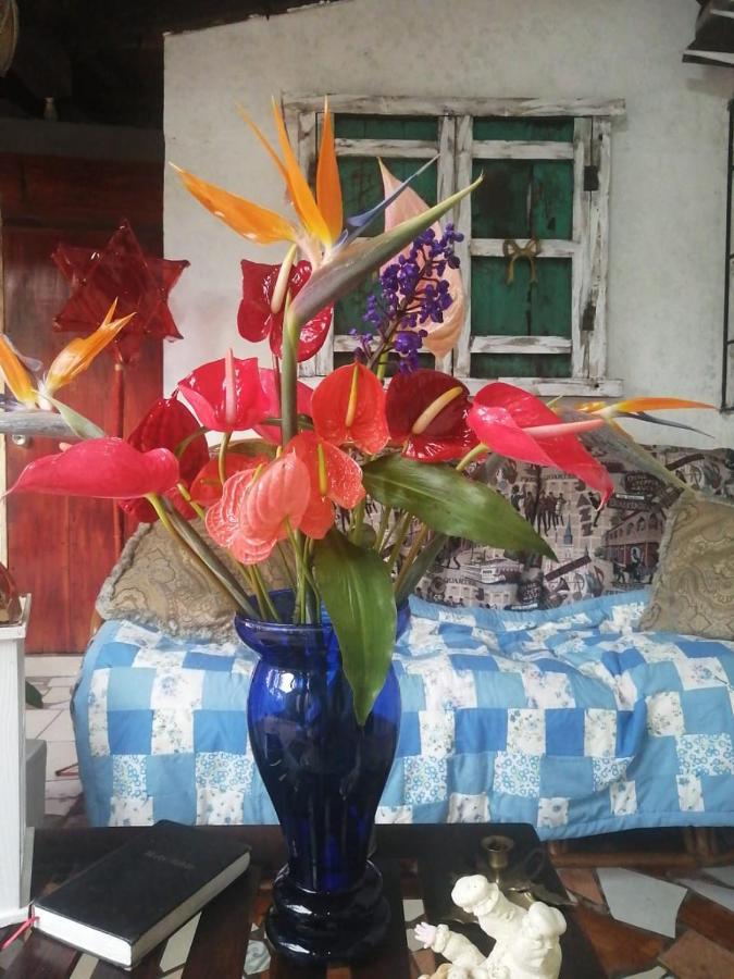 Portal De Los Farolitos Concepción de Ataco Eksteriør bilde